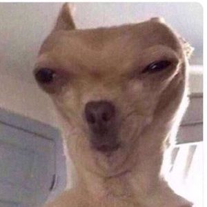 Meet your Posher, Nayeli